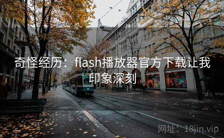 奇怪经历：flash播放器官方下载让我印象深刻  第2张